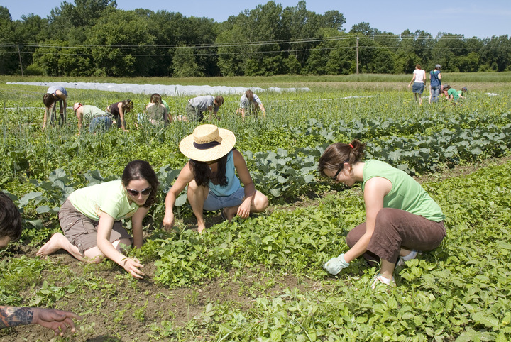 Agricultural-Science, Biotechnology and Food Technology (BSc) - Mesarya  Technical University